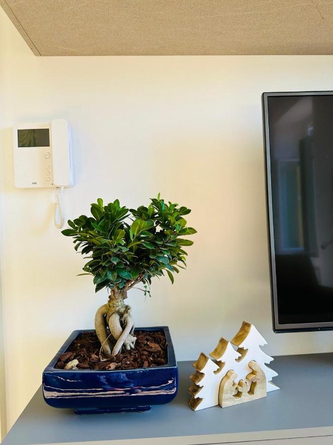 Alocasia Luxury Stay 살레르노 외부 사진